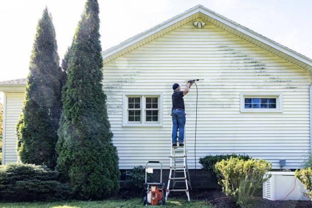 Best House Pressure Washing  in Mayodan, NC